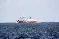 k-Gerold-Conradi O231 01-09-2016 (5).JPG