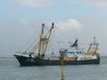 1-Belgien FP/Zeebrugge/Z 18