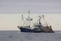 k-Gerold Conradi 30-11-2013 100.JPG