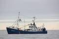 k-Gerold Conradi 30-11-2013 102.JPG