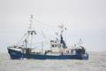 k-Gerold Conradi 30-11-2013 108.JPG