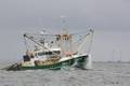 k-Gerold-Conradi BRA7   04-08-2016 (2).JPG
