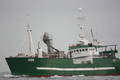 Gerold Conradi 29.10.2010 018.jpg