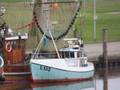 k-Gerold Conradi 06.08.11 028.jpg