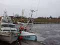 k-Gerold Conradi 17.02.2012 002.jpg