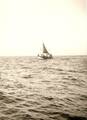 k-Matthias Kock FRI56 SEEROSE (2).jpg