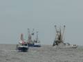 k-Mathias Kock 28.7.2013  (9).jpg