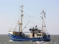 k-Gerold Conradi 19.03.2011 005.jpg