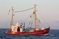 k-Gerold Conradi 21-06-2014 059.JPG