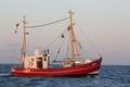 k-Gerold Conradi 21-06-2014 061.JPG