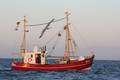 k-Gerold Conradi 21-06-2014 062.JPG
