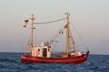 k-Gerold Conradi 21-06-2014 065.JPG