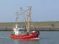 k-Mathias Kock 16.03.2012 (4).jpg