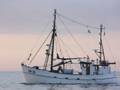k-Gerold Conradi 15.04.2012 020.jpg