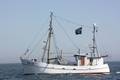 k-Gerold Conradi 21-06-2014 028.JPG