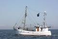 k-Gerold Conradi 21-06-2014 029.JPG