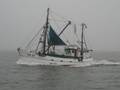 k-Ole Friedrichsen 054.jpg