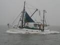 k-Ole Friedrichsen 055.jpg