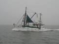 k-Ole Friedrichsen 057.jpg