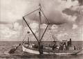 Bussard-1067.jpg