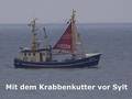 k-Gerold (10).jpg