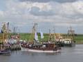 k-Reiner Folkerts Korso 2013 (8).JPG