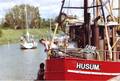 k-HUS 16 - Falke Husum - 003 jd.jpg