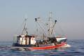 k-Gerold Conradi 23-06-2013 024.JPG