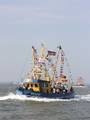 k-Gerold Conradi 20.08.11 056.jpg