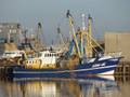 1-Niederlande FP/Arnemuiden FP/ARM 46