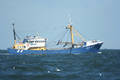 © C. Hameeteman NL-GO-0027-03-A-vissend.JPG