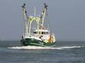 1-Niederlande FP/Texel FP/TX 65
