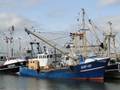 1-Niederlande FP/Urk FP/UK 16