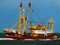 1-Niederlande FP/Urk FP/UK 162