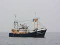 k-Gerold Conradi 30.04.2010 015.jpg