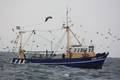 k-Gerold Conradi 02-08-2014 139.JPG