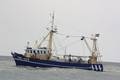 k-Gerold Conradi 02-08-2014 158.JPG