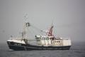 1-Niederlande FP/Urk FP/UK 166