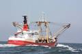 k-Gerold Conradi 02-08-2014 030.JPG