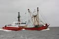k-Gerold Conradi 04.05.2010 016.jpg