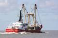 k-Gerold Conradi 20.04.10 007.jpg