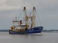 1-Niederlande FP/Urk FP/UK 20 FP