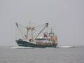 1-Niederlande FP/Urk FP/UK 217 FP