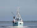 1-Niederlande FP/Urk FP/UK 228 FP