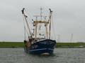 1-Niederlande FP/Urk FP/UK 236