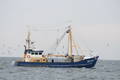 1-Niederlande FP/Urk FP/UK 274 FP