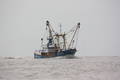 1-Niederlande FP/Urk FP/UK 292 FP