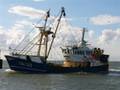 k-Henk Perdok  27-6-08 (4).JPG