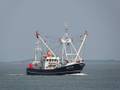 1-Niederlande FP/Urk FP/UK 368