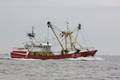1-Niederlande FP/Urk FP/UK 382 FP